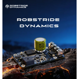 ROBSTRIDE Модуль динамического разряда